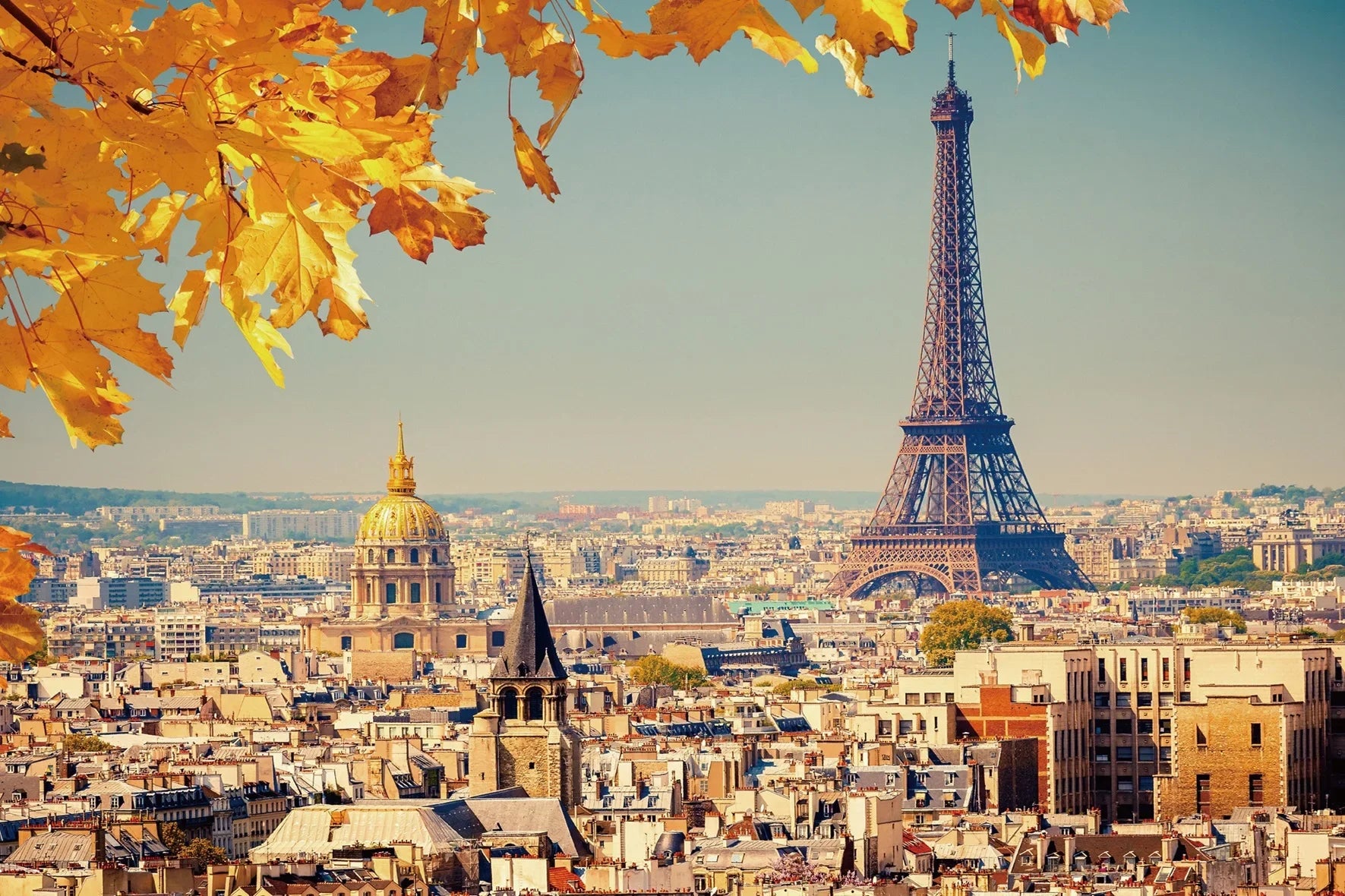 Quebra-Cabeça Adulto 1000 Peças Paisagem Animada | Puzzle Decorativo em Papel para Exercitar o Cérebro