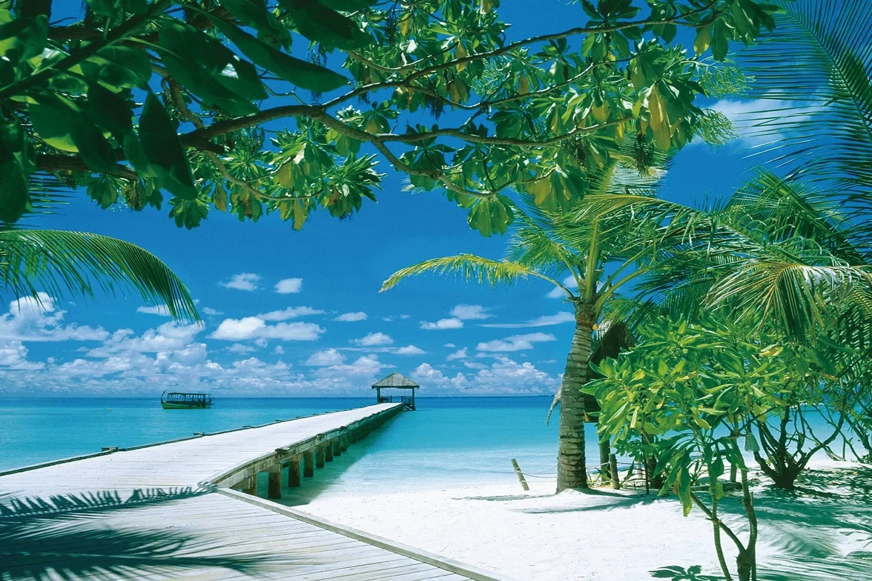 Quebra-Cabeça Adulto 1000 Peças Paisagem Animada | Puzzle Decorativo em Papel para Exercitar o Cérebro